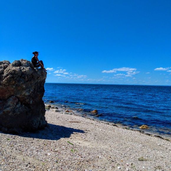 Meet your Posher, Clara - Picture 1 of 1